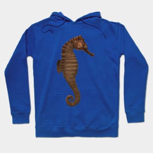 sea horse Hoodie